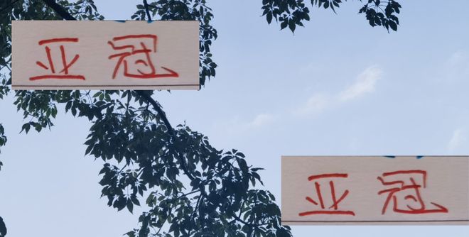 中超亚冠表现堪忧：海港、申花陷入困境，国安二级赛小组垫底